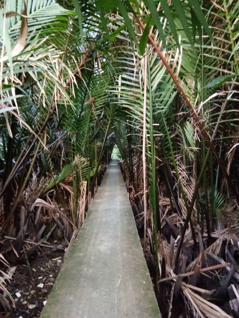 beautiful natural walking