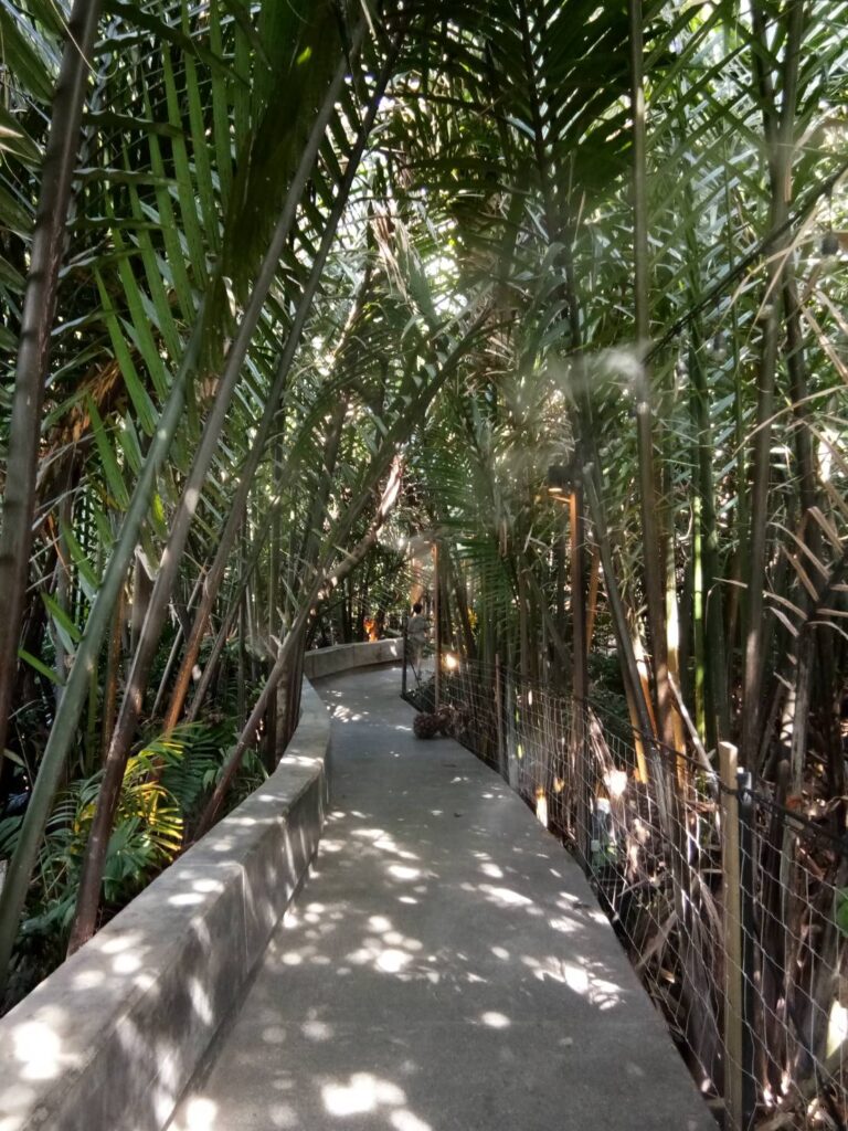 bangkrachao Bike way