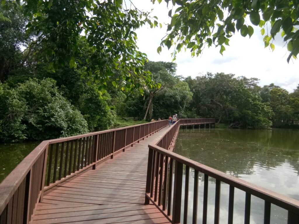 park of bangkrachao