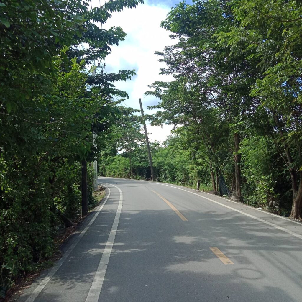 the way go to Bangkrachao